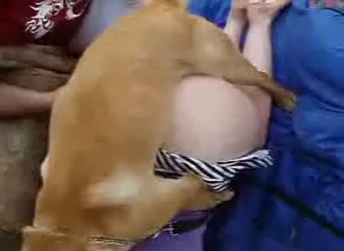 Video :Brown dog and lady outdoor dog sex